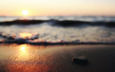 ‘And all at once, summer collapsed into the fall.’ – Oscar Wilde