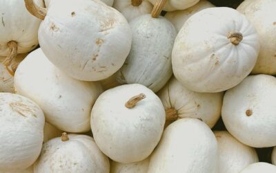 Happy Pumpkin Season from The Peninsula! Book your autumn escape to the Cape at www.ThePeninsulaCapeMay.com