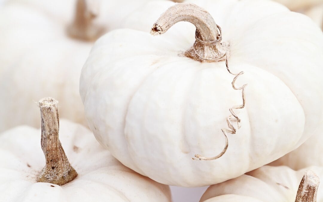 Happy Halloween from The Peninsula Cape May! Embrace the magic of the season with cozy coastal charm, autumn leaves, and a touch of spooky fun by the sea.  Here’s to a night of treats, laughter, and Cape May enchantment.