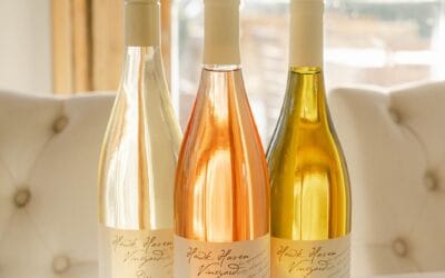 Your Perfect Pairing, Your Way 🍽️ At @provencecapemay , we invite you to bring your favorite bottle to complement our seasonal, chef-driven menu. Whether it’s a crisp white, a bold red, or a celebratory bubbly, the choice is yours. Bring a bottle, relax, and enjoy an unforgettable dining experience.